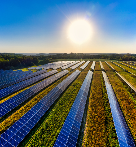 Solarenergie wird vorrangige Rolle auf globalem Strommarkt einnehmen